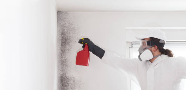 Best Crawl Space Mold Removal  in Yutan, NE